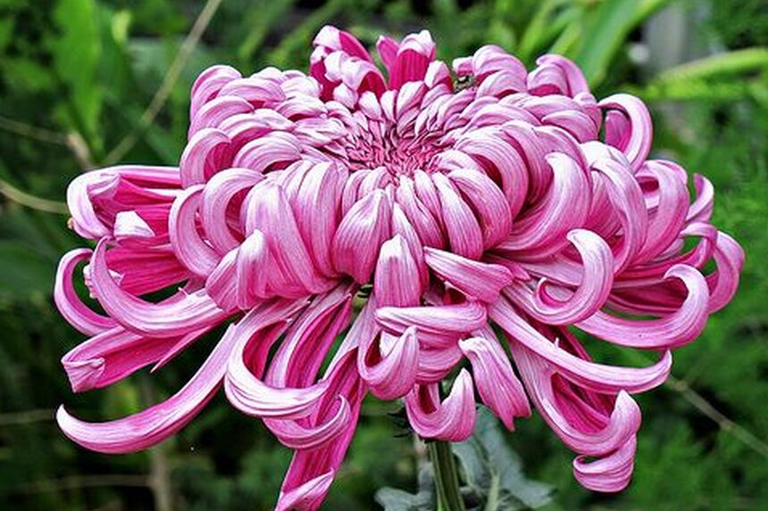 8 napos, online teremtésvédelmi lelkigyakorlatra hívunk!