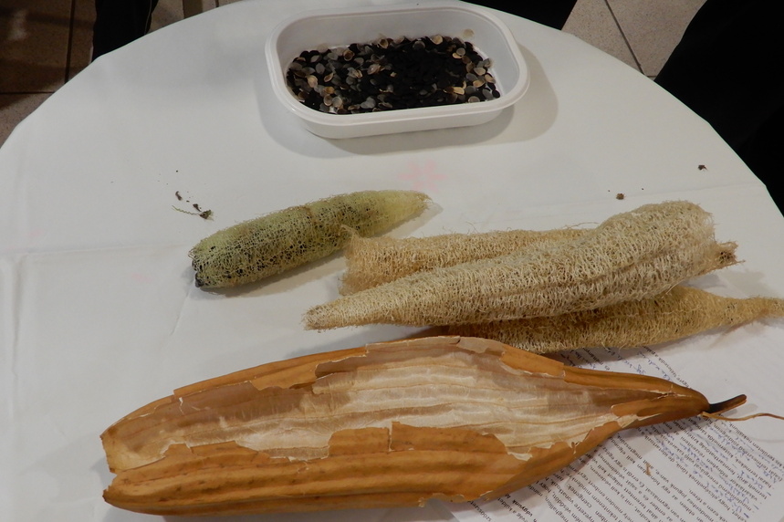 Termésbemutató – JSZTIO