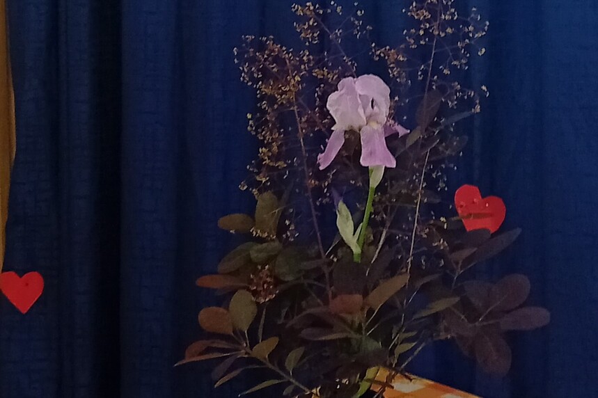 Anyák napja – JSZTIO