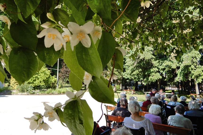 Térzenei élmény fiatal tehetségekkel -  vendégeink voltak:  Szilágyi Levente karnagy és  tanítványai – JSZTIO